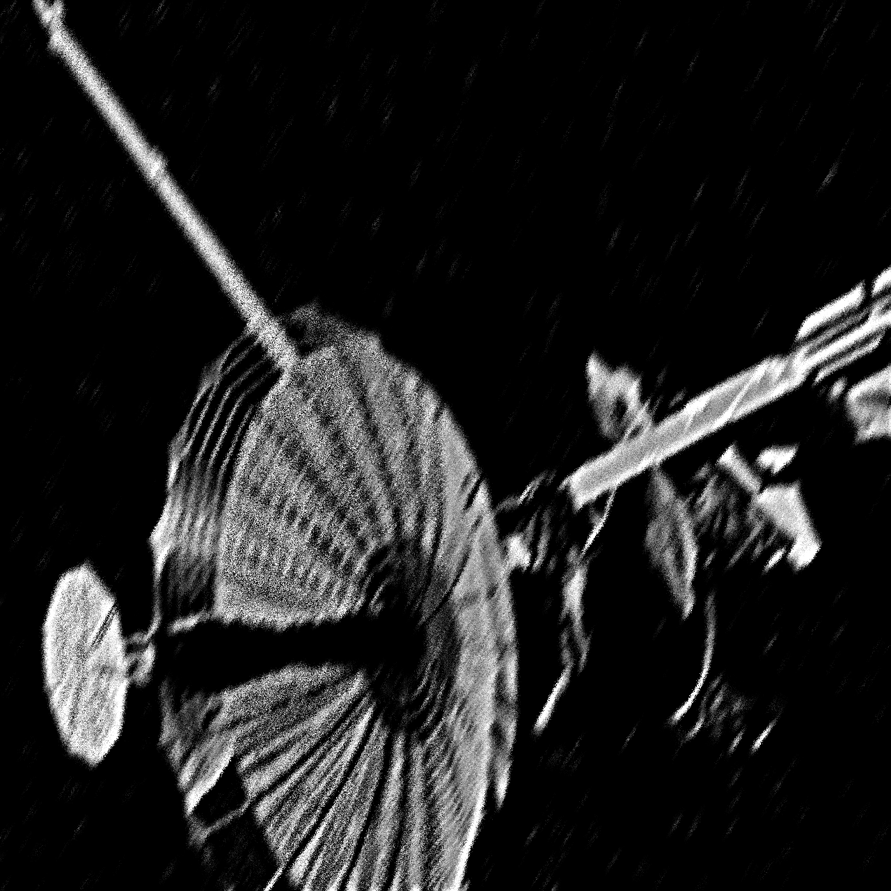 galileo craft